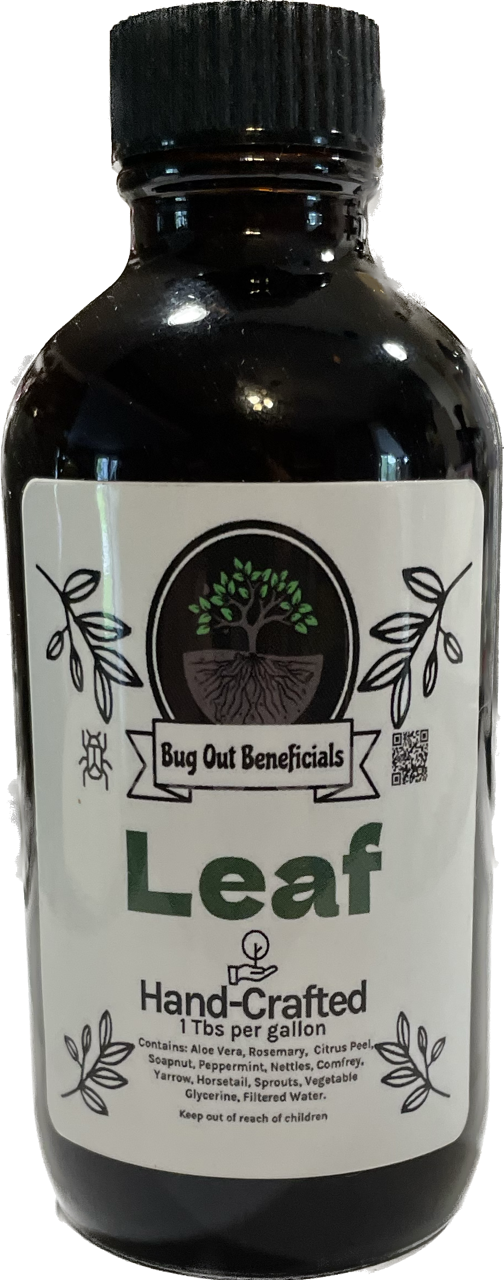 Leaf Tonic