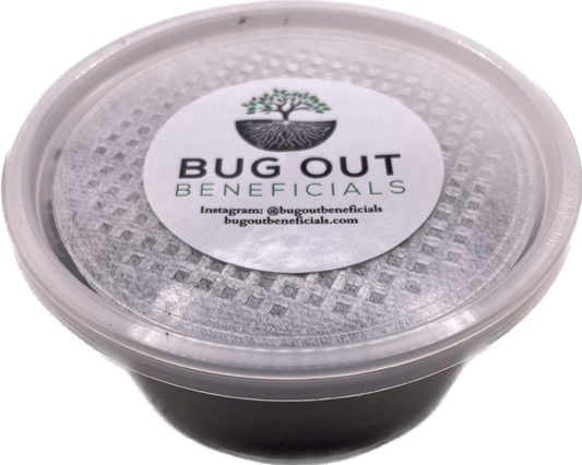 Living Soil Biodiversity/ Fungus Gnat Smack Pack